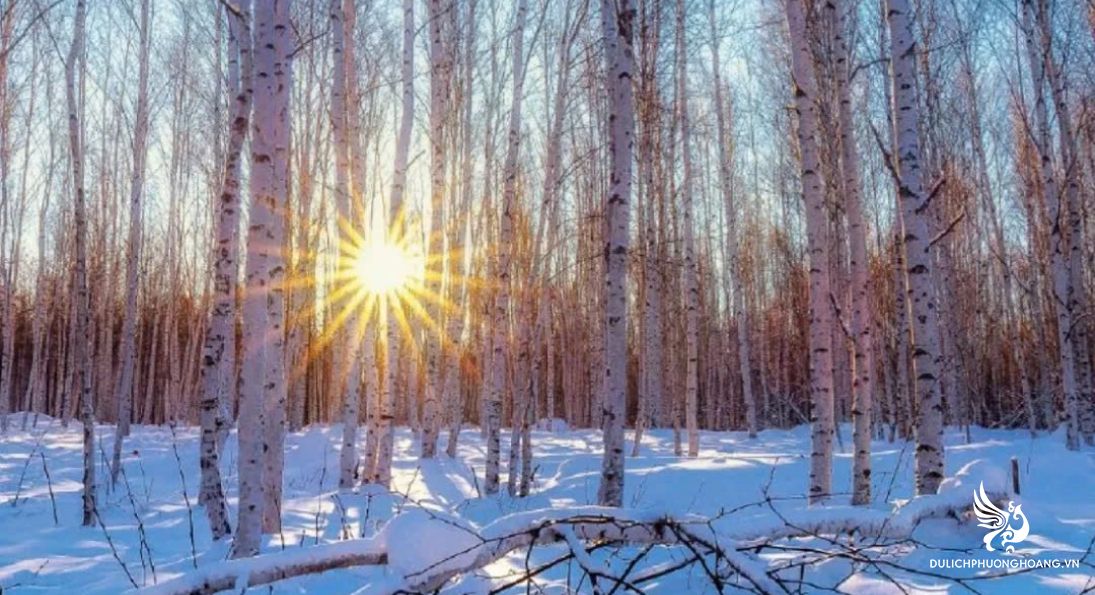 tour-dong-bac-trung-hoa-6n5d-|-cap-nhi-tan-lang-tuyet-huong-cat-lam_2cap-nhi-tan-cat-l